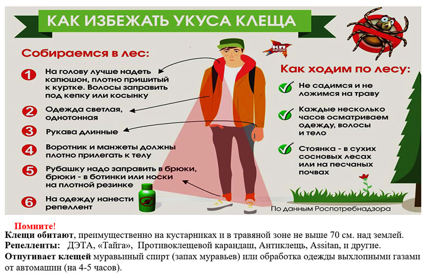 Клещи меры предосторожности картинки