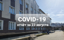 COVID-19 отчёт за 23 августа