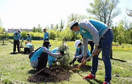 На территории больничного городка заложена Аллея памяти