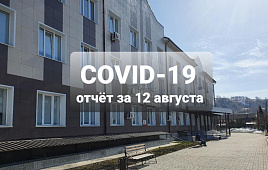 COVID-19 отчёт за 12 августа