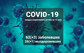 Оперативный штаб информирует: на 13 мая +3 новых заболевших COVID-19