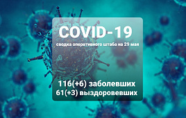 Оперативный штаб информирует: на 29 мая +6 новых заболевших COVID-19